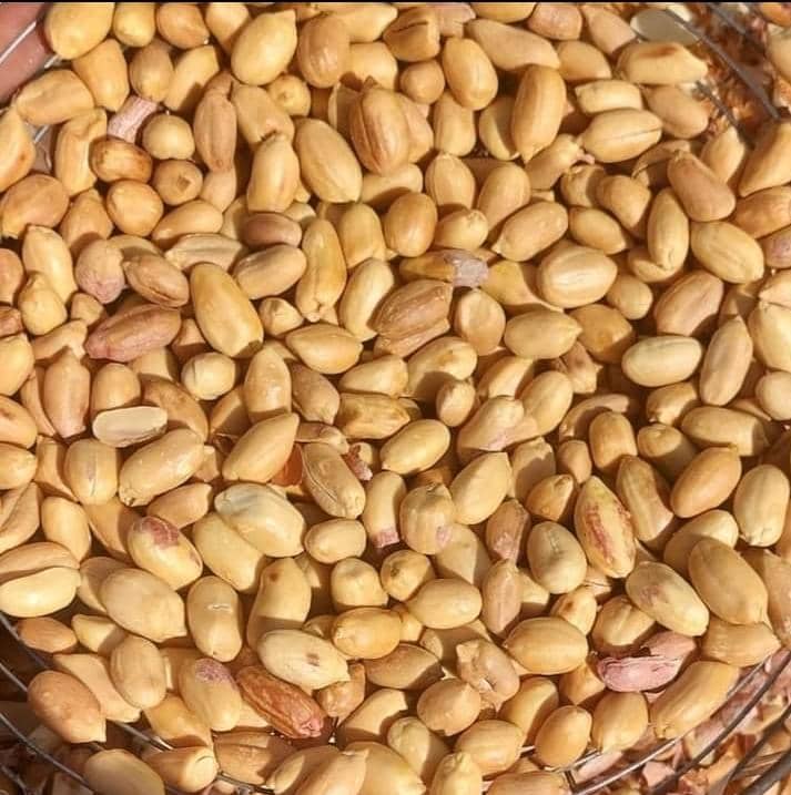 محصول الفول السوداني