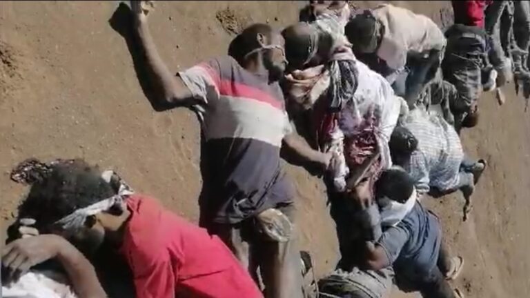 جرائم ودمدني