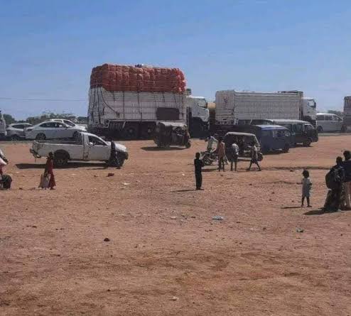 ولاية الجزيرة