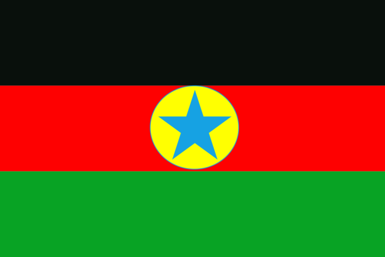 الجبهة الثورية السودانية