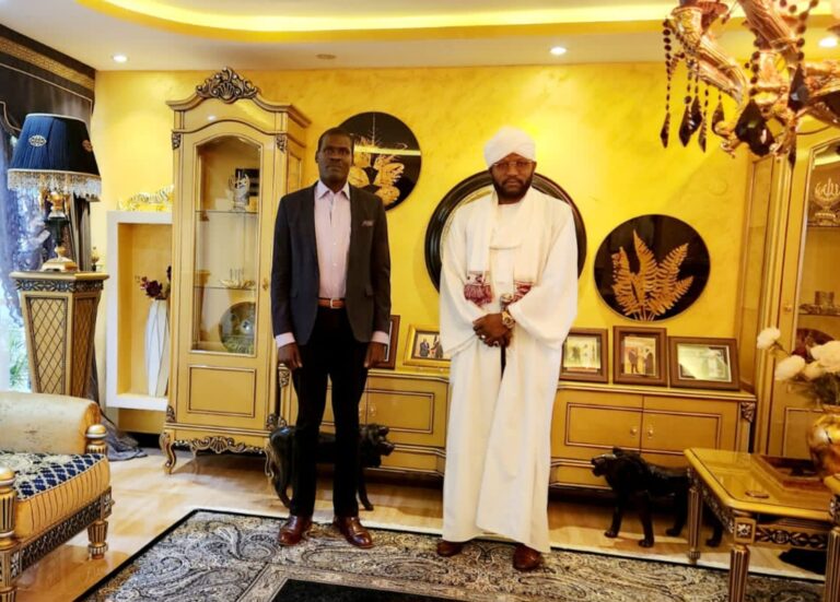 نصرالدين وسلطان دارفور