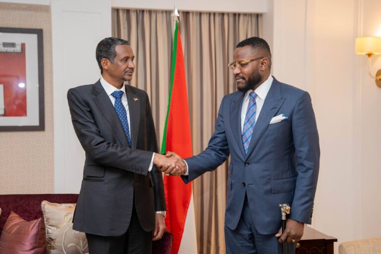 سلطان دارفور وحميدتي