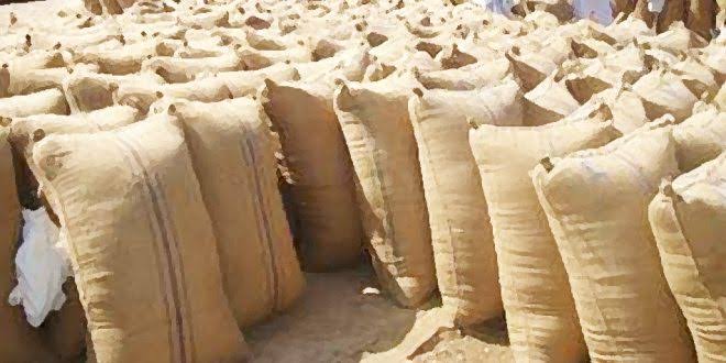 محصول الفول السوداني