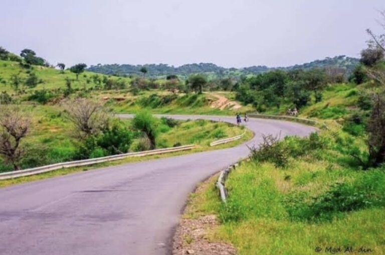 طريق نيرتتي زالنجي