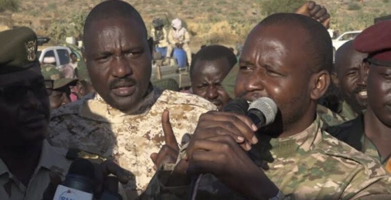 الدكتور الهادي إدريس، رئيس حركة جيش تحرير السودان المجلس الإنتقالي.