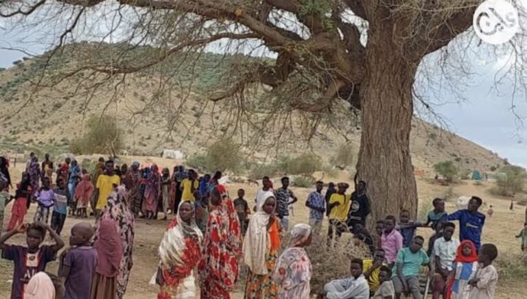 نازحو جبل مرة دارفور