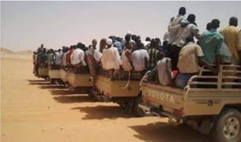 رحلات التهريب إلى مصر