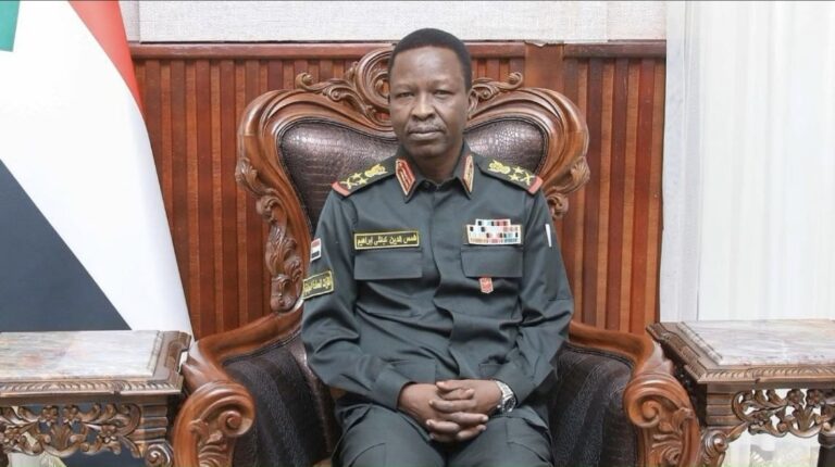 شمس الدين كباشي