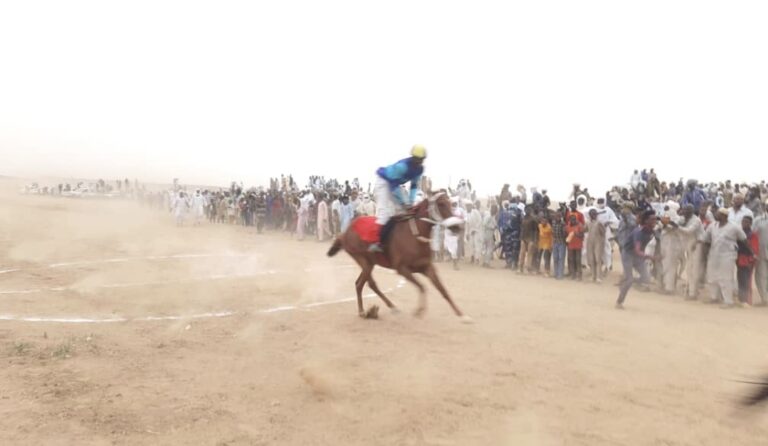 الفروسية بالجنينة