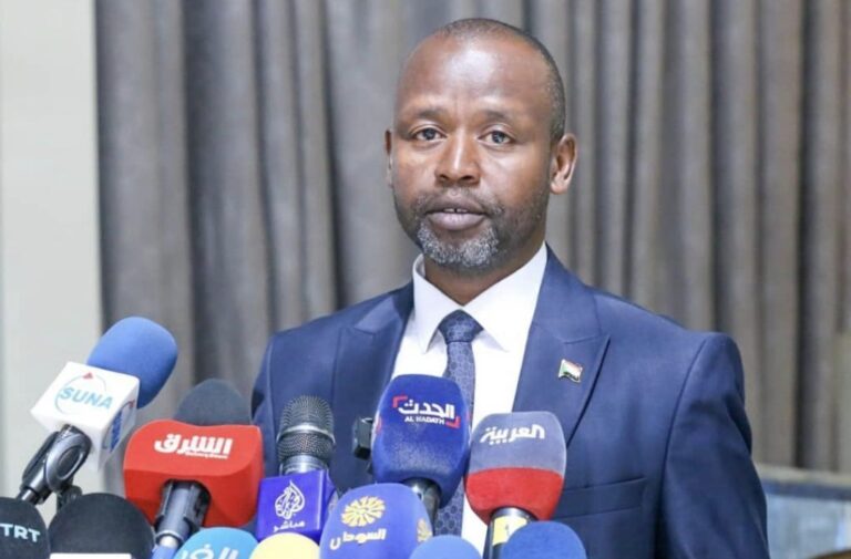 الدكتور الهادي إدريس، رئيس حركة جيش تحرير السودان - المجلس الإنتقالي.