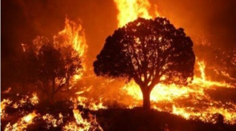 حريق بمحلية الفردوس