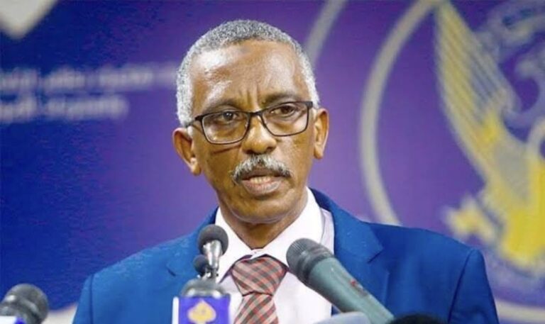 الأستاذ وجدي صالح.