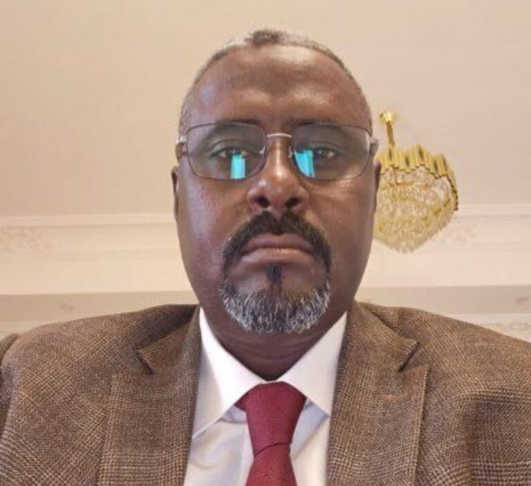 الباشا طبيق