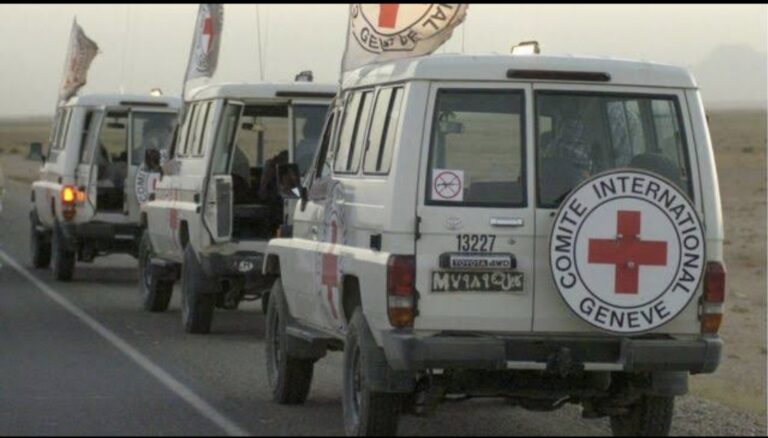 Screenshot_20240311-221039_Gallery