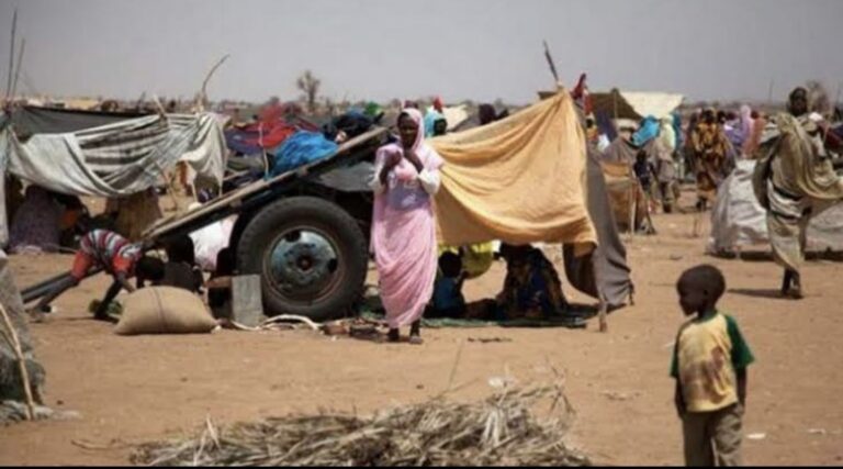 نازحو ابوشوك