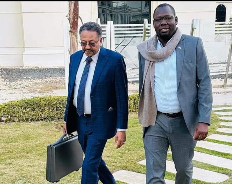 عسكوري واردول