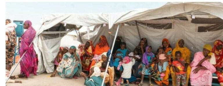 نازحات النيل الأبيض