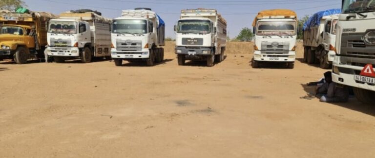 مساعدات إنسانية نيالا