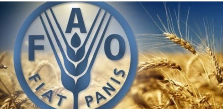 منظمة الفاو