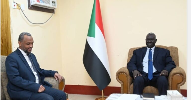 وزير الصحة السوداني