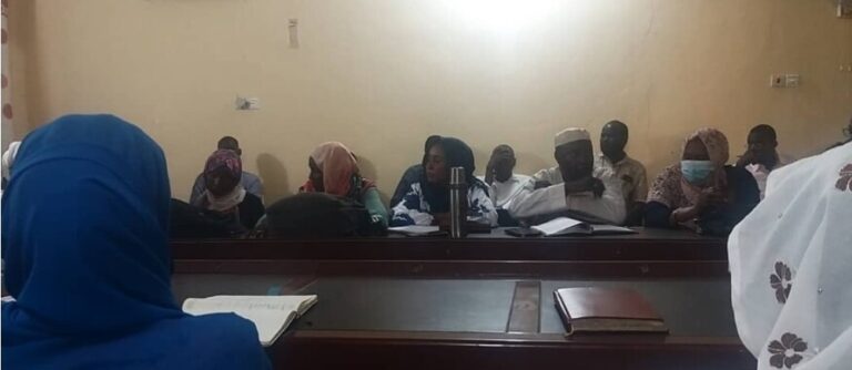 منظمات طوعية الفاشر