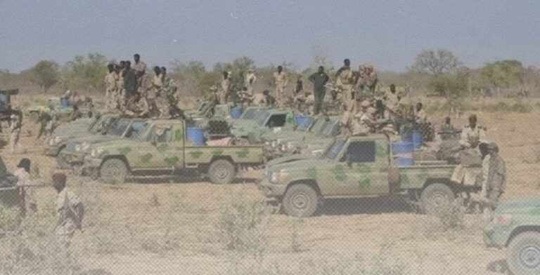 حركات دارفور