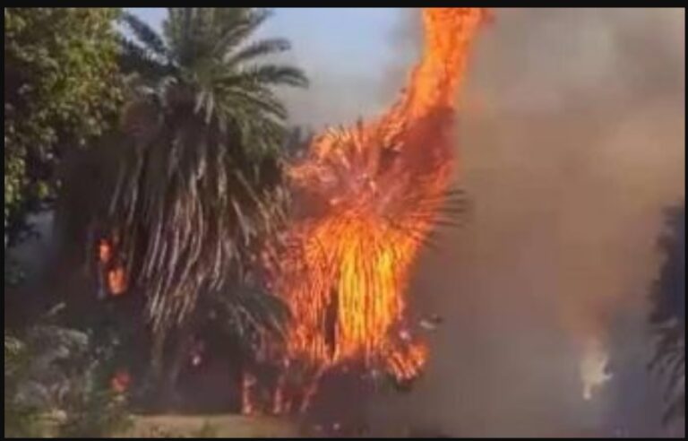 Screenshot_٢٠٢٤٠٥٢٤-١٨٢٦٥٩_Chrome