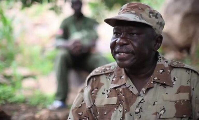 عبدالعزيز الحلو