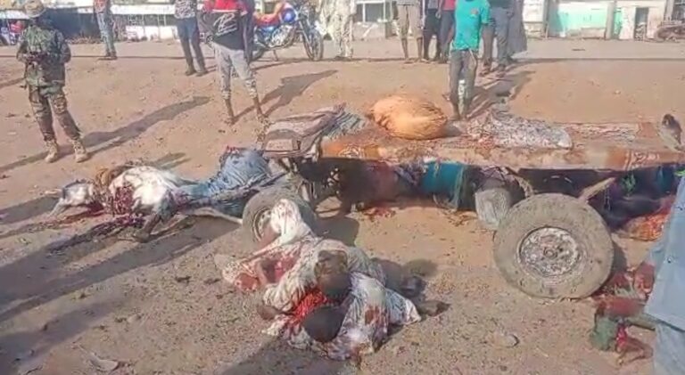 Screenshot_20240629_184031