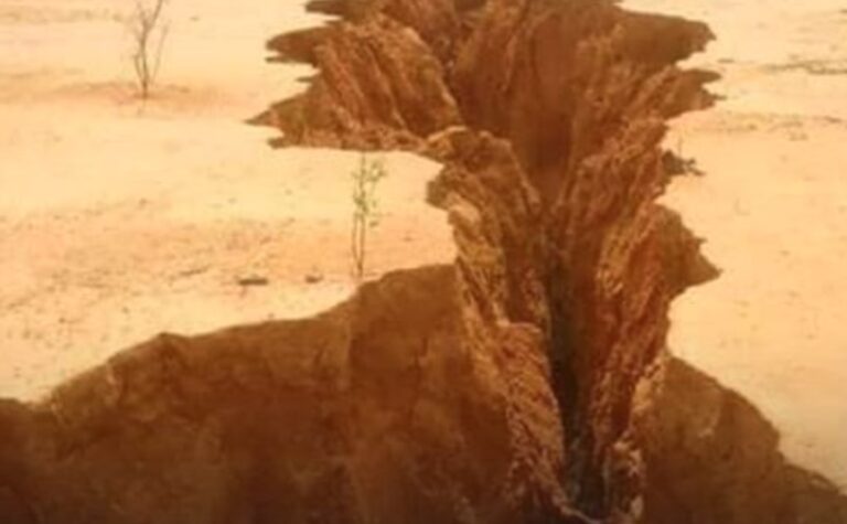 Screenshot-2024-07-28-100312