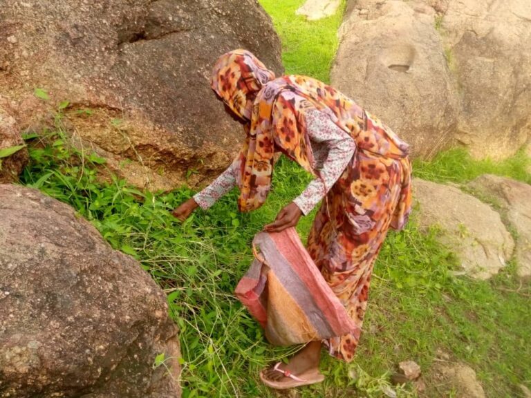 جمع-اوراق-الشجر