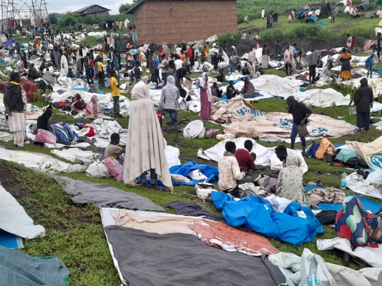 02930bef-5d6e-44d7-86dd-68d8f823c882