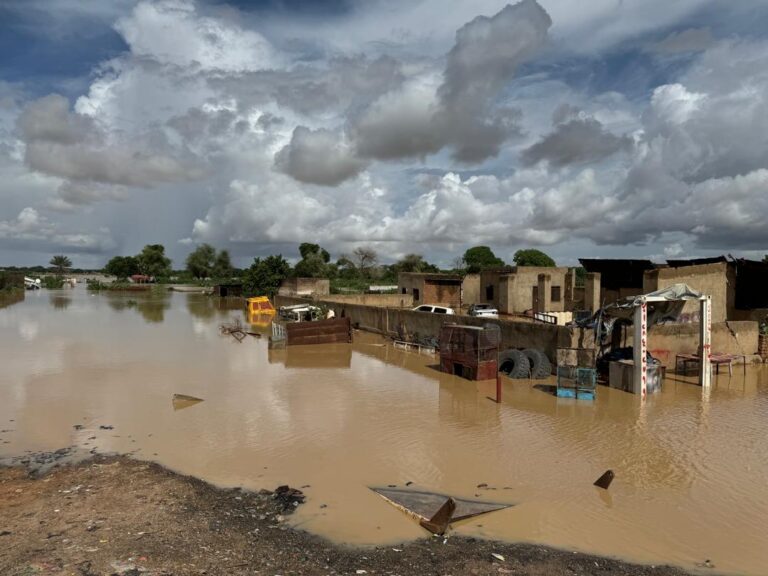 PHOTO-2024-08-01-20-14-47