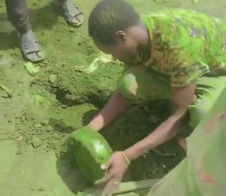 Screenshot_20240805_162337