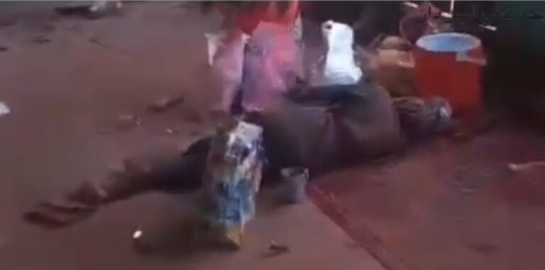 Screenshot_20240820_183131