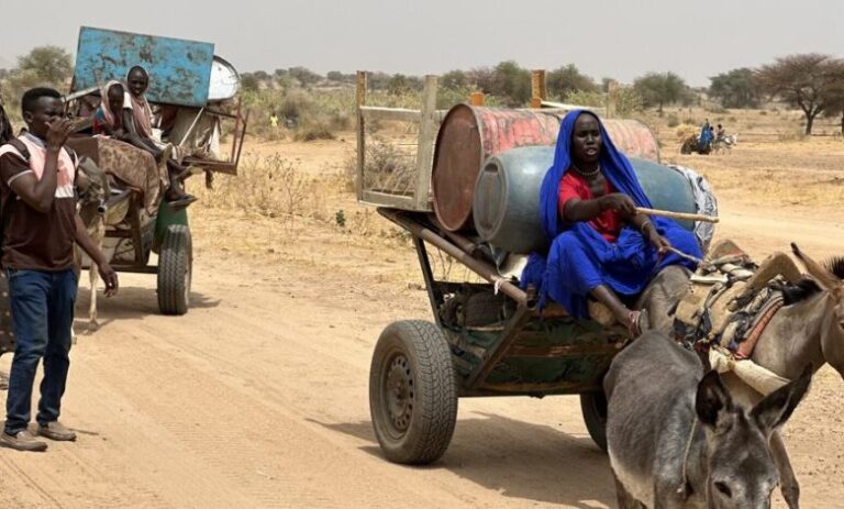 image1170x530cropped-2-780x470