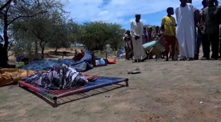 Screenshot_20240904_173100