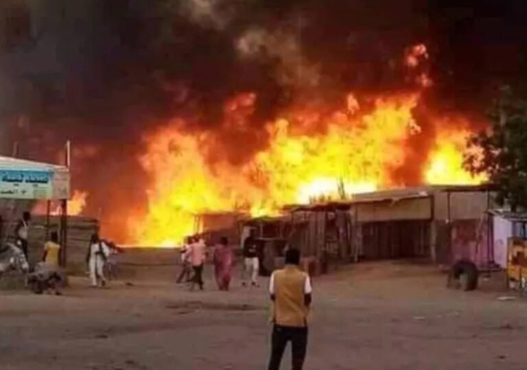 Screenshot_20240913_172150