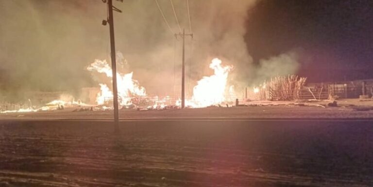 deaen-920x425-1-845x425