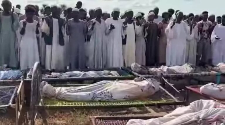 WhatsApp-Image-2024-10-17-at-5.38.14-PM-1