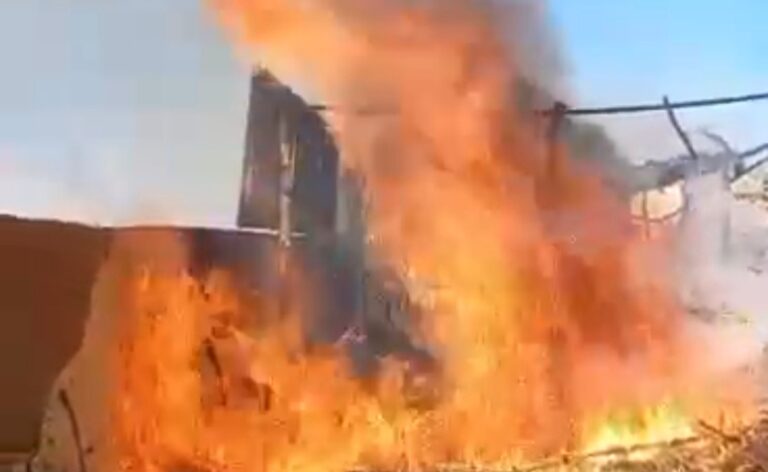 Screenshot_20241108-174659_Gallery