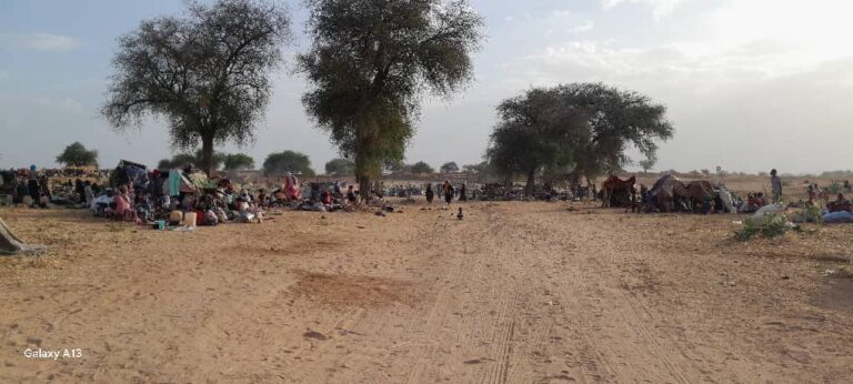 187c1dcf-036b-4c98-8eef-e28d537177f0-1