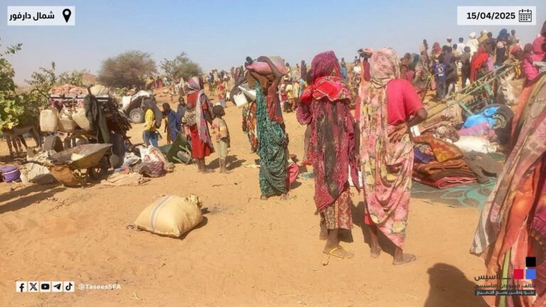 WhatsApp Image 2025-04-15 at 20.30.53