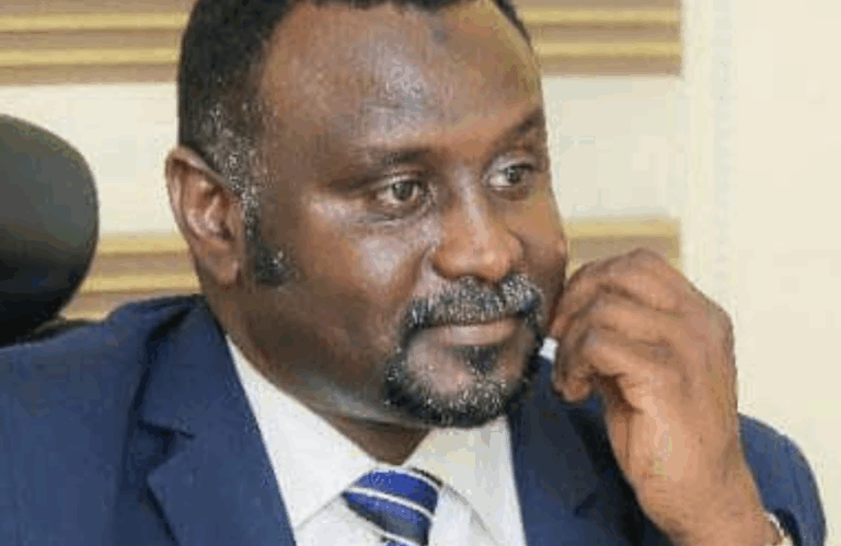 اسماعيل هجانة