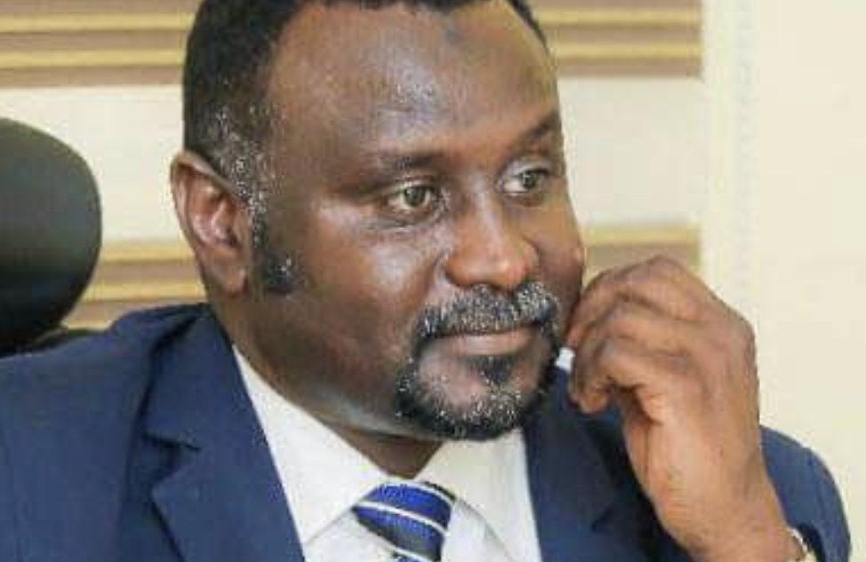 اسماعيل هجانة