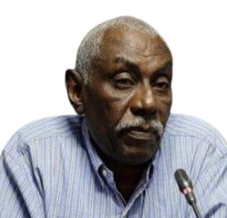 الجميل الفاضل