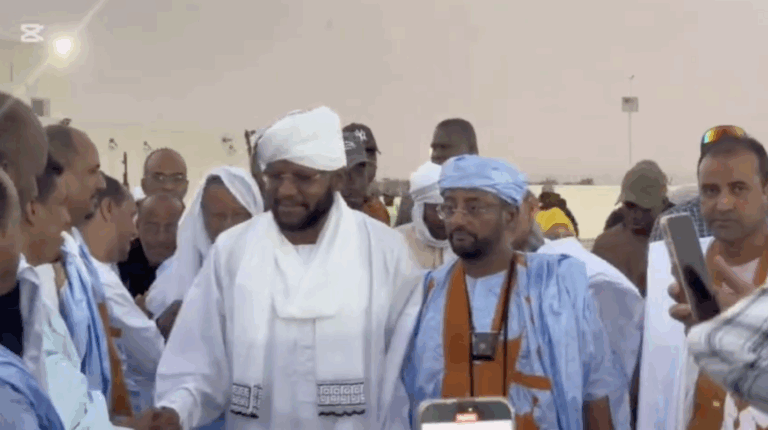 السلطان احمد دينار