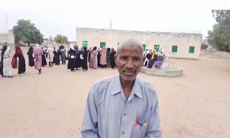 Screenshot_20250529-155936_Gallery