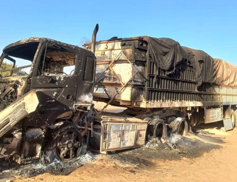 WhatsApp Image 2025-06-03 at 10.58.18