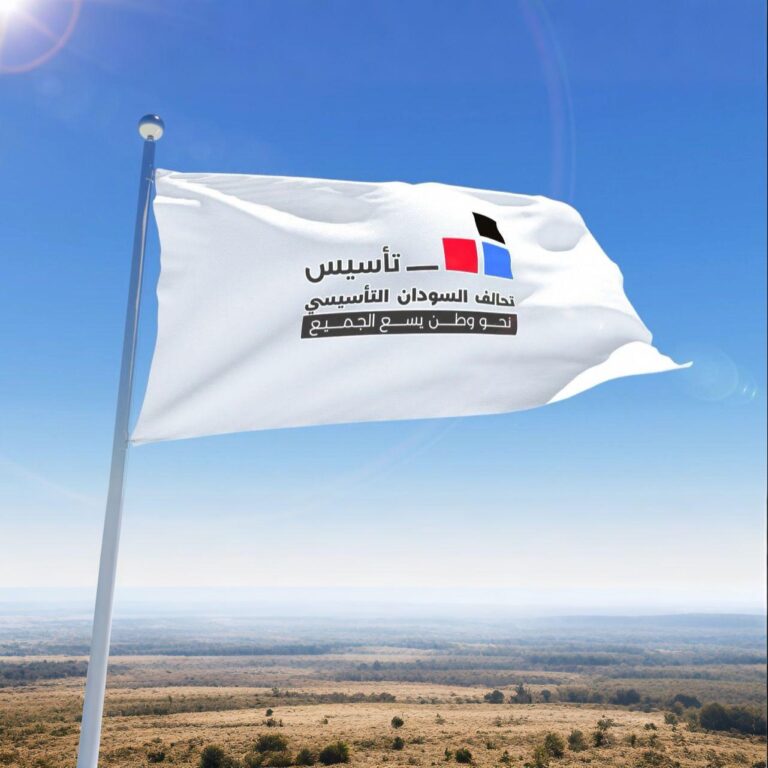 حكومة تاسيس